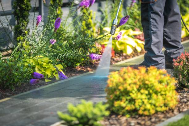 Best Soft Washing for Delicate Surfaces in Nebo, NC